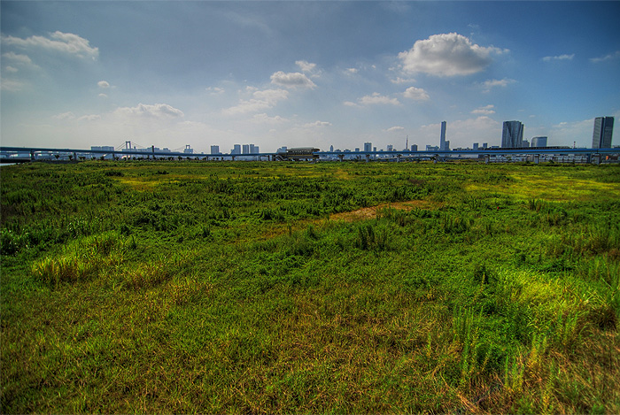 ginza odaiba photowalk wide open